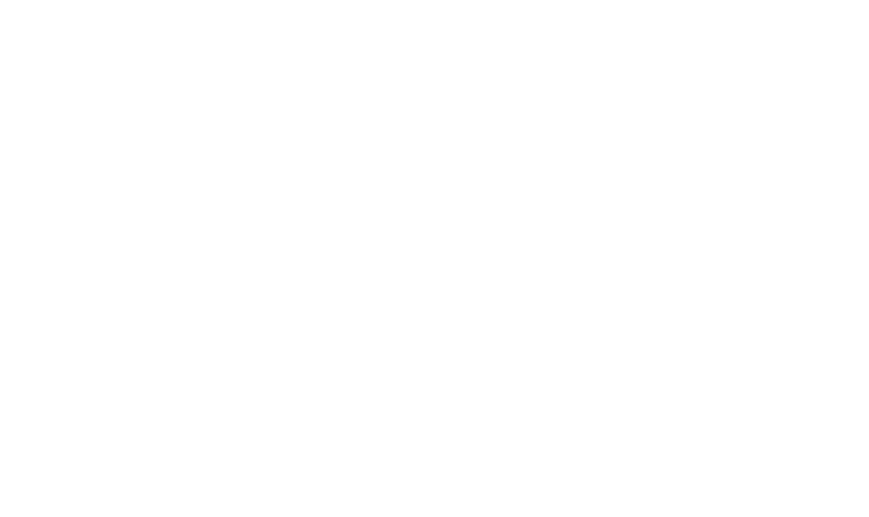 Grue speed crane